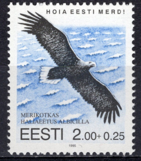 0258 Vtáky