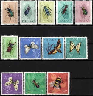1277-1288 Fauna