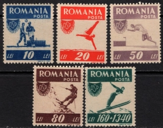 1000-1004 A Šport
