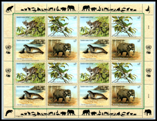 0162-0165 KB Fauna