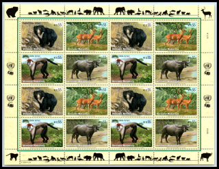 0408-0411 KB Fauna