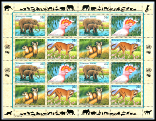 0732-0735 KB Fauna