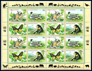 0767-0770 KB Fauna