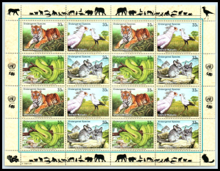 0815-0818 KB Fauna