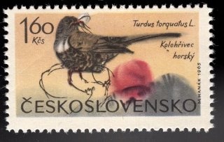 1474 DV 1/1