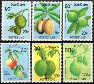 1169-1174 Flóra