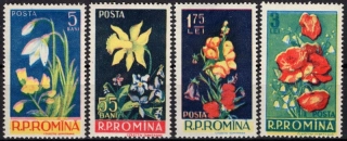 1589-1592 Flóra