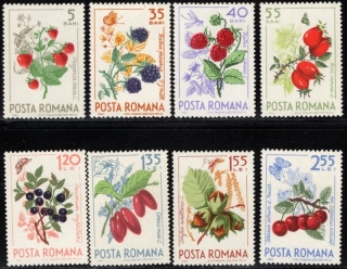 2361-2368 Flóra