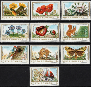3982-3991 Fauna/Flóra