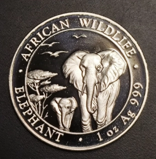 100 Shillings 2015