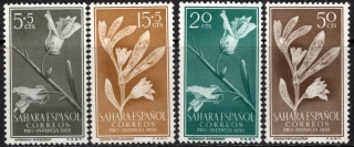 0157-0160 Flóra