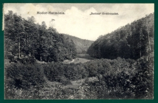 Modra - Harmónia