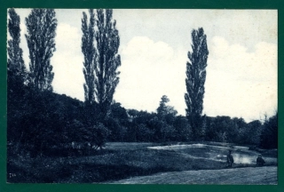 Modra - Harmónia