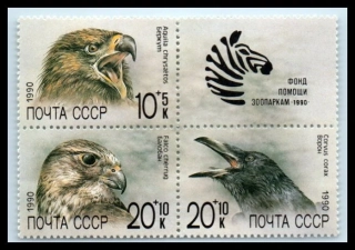 6079-6081 Fauna