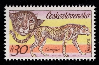 2223 V.V.