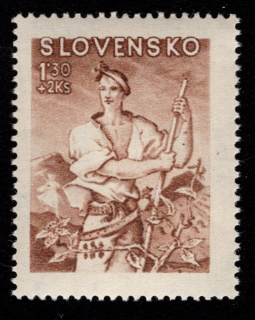 097 DV 65