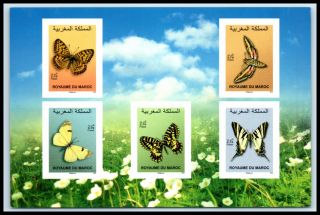 1973-1977 Fauna