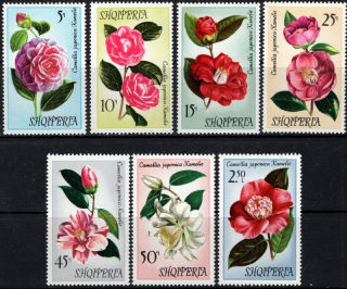 1549-1555 Kvety