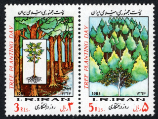 2096-2097 Flóra