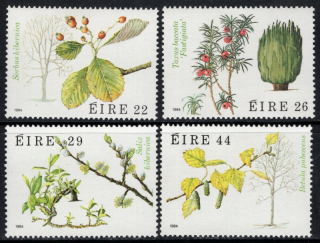 0532-0535 Flóra