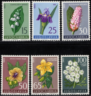 1034-1039 Flóra