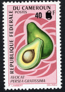 0768 Flóra