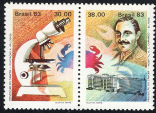 1956-1957