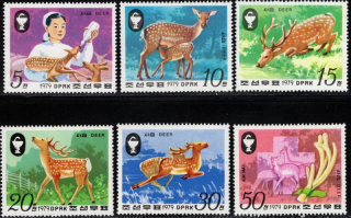 1898-1903 Fauna