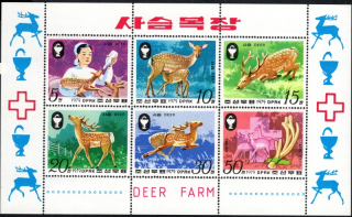 1898-1903 KB Fauna