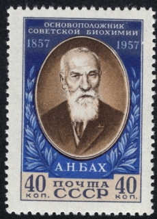 1934 C