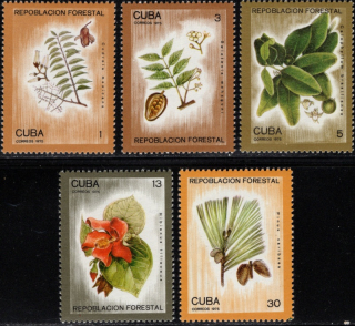 2065-2069 Flóra