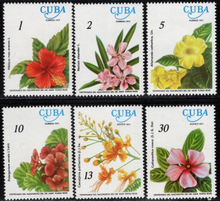 2217-2222 Flóra