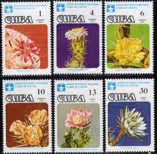 2294-2299 Flóra