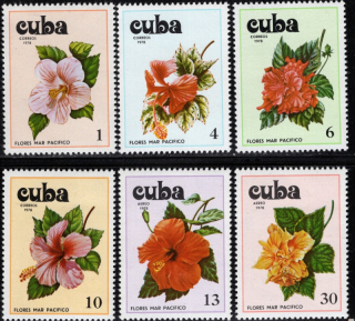2356-2361 Flóra
