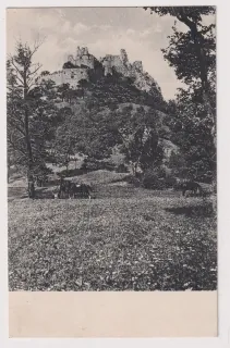 Plavecké Podhradie