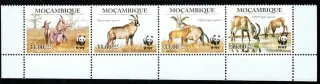 3658-3661 Fauna