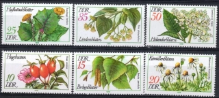 2287-2292 Flora