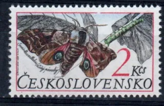 2786 DV 49/1