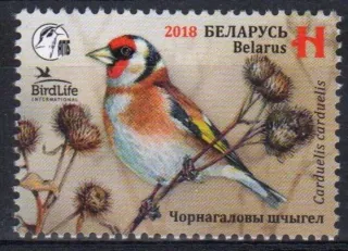 1243 Vtáky