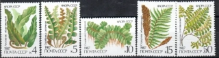 5729-5733 Flóra