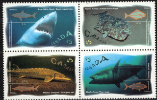 1619-1622 Fauna