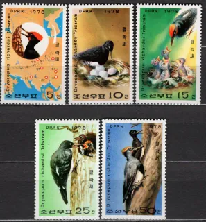 1790-1794 Fauna