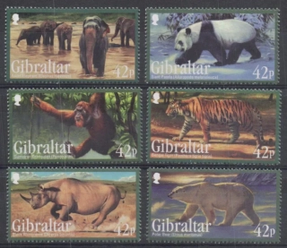 1431-1436 Fauna