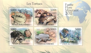 3007-3011 Fauna