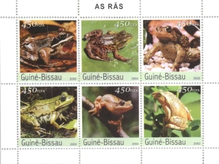2458-2463 Fauna