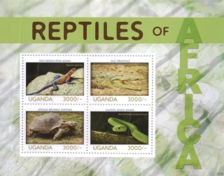 3200-3203 BL 447 Fauna