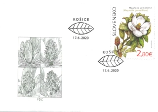FDC 715