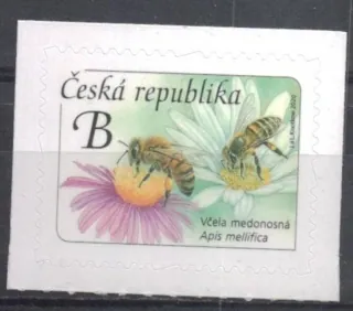 1069
