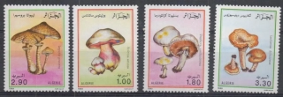 1010-1013 Hríby