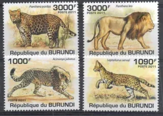 2022-2025 Fauna